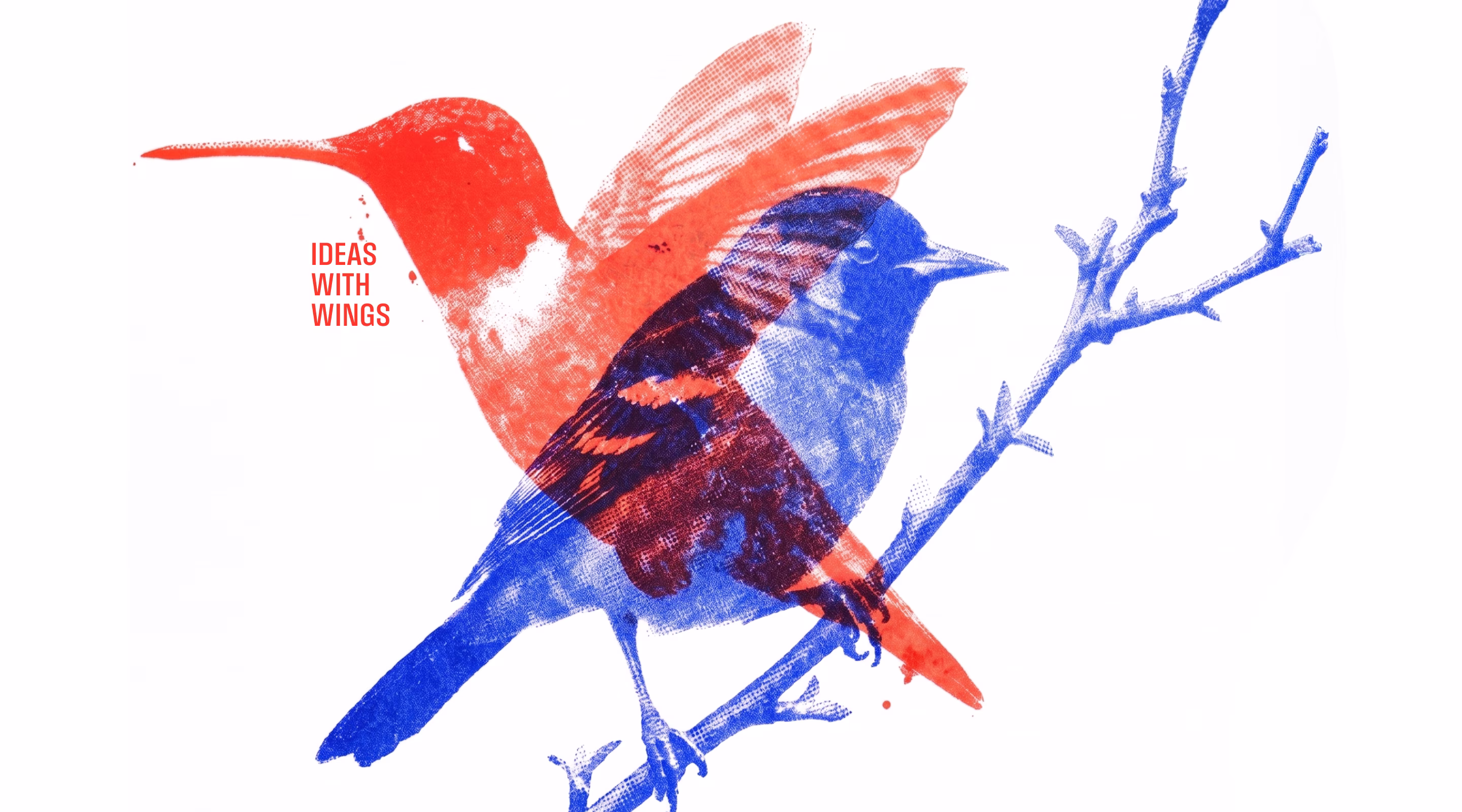 Red and blue illustrated birds in flight